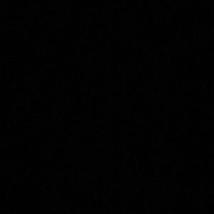 Meet your Posher, Ricky